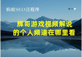 辉哥游戏视频解说的个人频道在哪里看