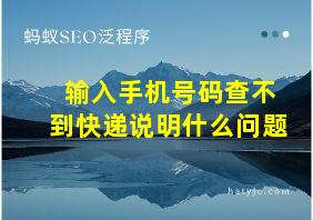 输入手机号码查不到快递说明什么问题