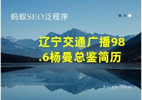 辽宁交通广播98.6杨曼总鉴简历