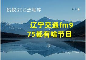 辽宁交通fm975都有啥节目