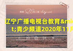 辽宁广播电视台教育·青少频道2020年11月7日