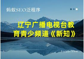 辽宁广播电视台教育青少频道《新知》