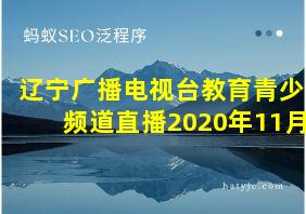 辽宁广播电视台教育青少频道直播2020年11月