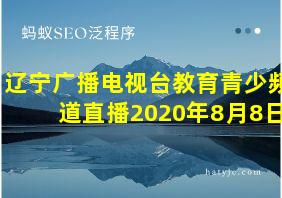 辽宁广播电视台教育青少频道直播2020年8月8日