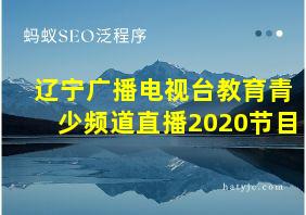 辽宁广播电视台教育青少频道直播2020节目