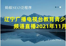 辽宁广播电视台教育青少频道直播2021年11月