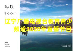 辽宁广播电视台教育青少频道2020年直播节目