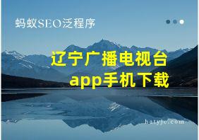 辽宁广播电视台app手机下载