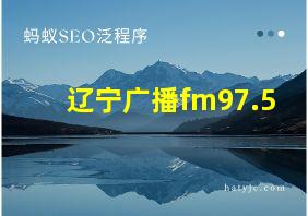 辽宁广播fm97.5