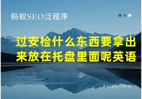 过安检什么东西要拿出来放在托盘里面呢英语