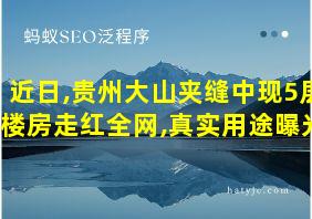 近日,贵州大山夹缝中现5层楼房走红全网,真实用途曝光