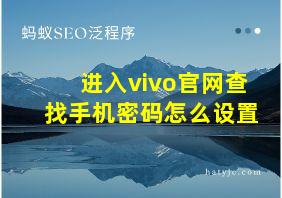 进入vivo官网查找手机密码怎么设置