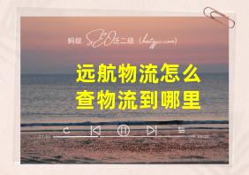 远航物流怎么查物流到哪里