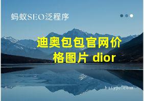 迪奥包包官网价格图片 dior