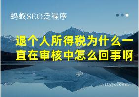 退个人所得税为什么一直在审核中怎么回事啊