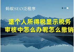 退个人所得税显示税务审核中怎么办呢怎么撤销