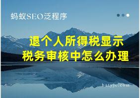 退个人所得税显示税务审核中怎么办理