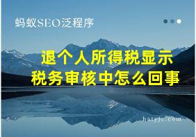 退个人所得税显示税务审核中怎么回事