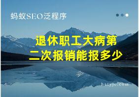 退休职工大病第二次报销能报多少