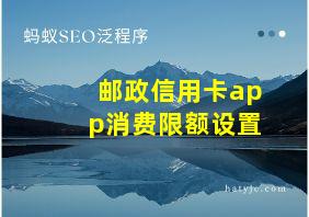 邮政信用卡app消费限额设置