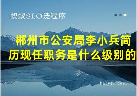 郴州市公安局李小兵简历现任职务是什么级别的