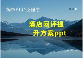 酒店网评提升方案ppt