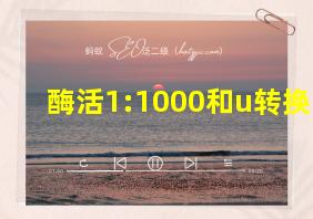 酶活1:1000和u转换