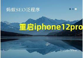 重启iphone12pro