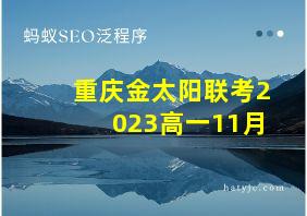 重庆金太阳联考2023高一11月