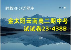 金太阳云南高二期中考试试卷23-438B