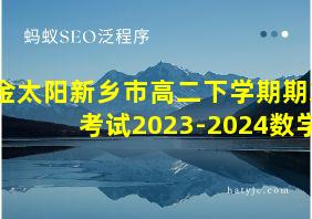 金太阳新乡市高二下学期期末考试2023-2024数学