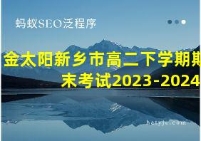 金太阳新乡市高二下学期期末考试2023-2024