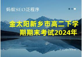 金太阳新乡市高二下学期期末考试2024年