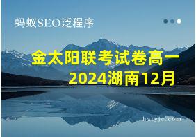 金太阳联考试卷高一2024湖南12月