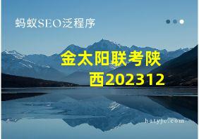 金太阳联考陕西202312