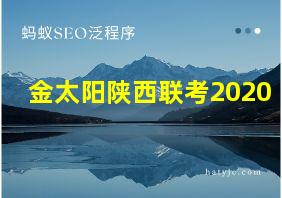 金太阳陕西联考2020