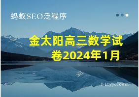 金太阳高三数学试卷2024年1月