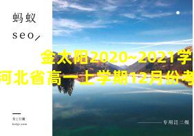 金太阳2020~2021学年河北省高一上学期12月份考试