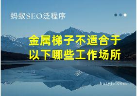 金属梯子不适合于以下哪些工作场所