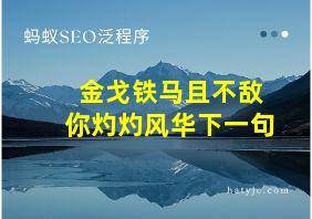 金戈铁马且不敌你灼灼风华下一句