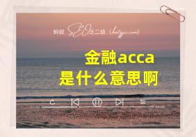 金融acca是什么意思啊