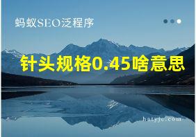 针头规格0.45啥意思