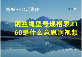 钢丝绳型号规格表2160是什么意思啊视频