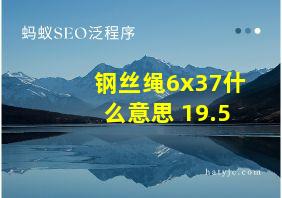 钢丝绳6x37什么意思 19.5