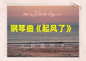 钢琴曲《起风了》