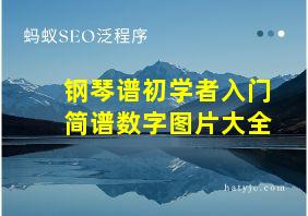 钢琴谱初学者入门简谱数字图片大全