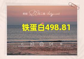 铁蛋白498.81