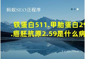 铁蛋白511.甲胎蛋白29.癌胚抗原2.59是什么病