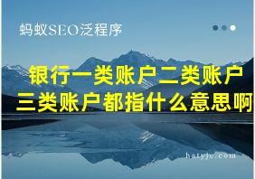 银行一类账户二类账户三类账户都指什么意思啊