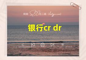 银行cr dr